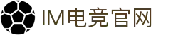 IM(股份有限公司)电竞-电子竞技平台